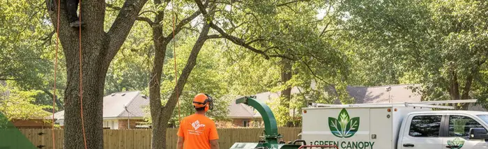 Tree service experts in South Burlington, VT providing safe tree removal, trimming, and care