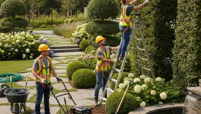Landscape design for a South Burlington, VT tree-service project with attractive, practical outdoor features