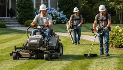 Tree service crew providing lawn care in South Burlington, VT
