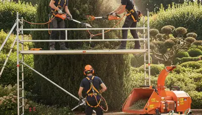 Shrub removal service in South Burlington, VT by Arbor Tree Care