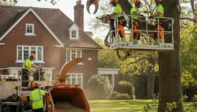 Tree service crew in South Burlington, VT providing professional tree care for local property owners